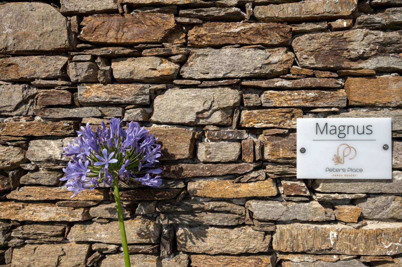 Peters Place - Paros Resort 파라스포로 외부 사진
